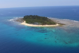 Dany Island, Vanuatu